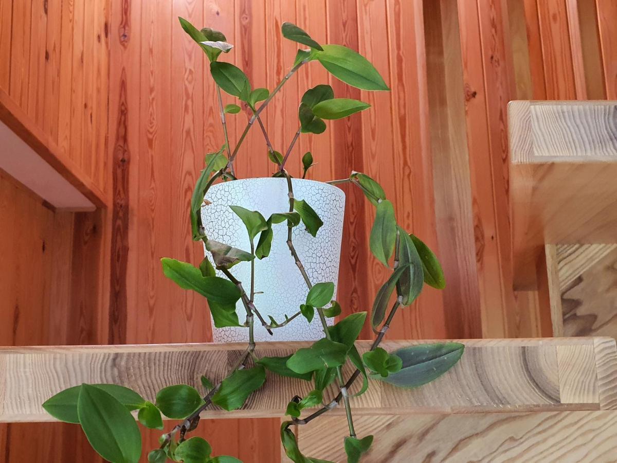 Riti Sigulda Villa Stiveri Kültér fotó